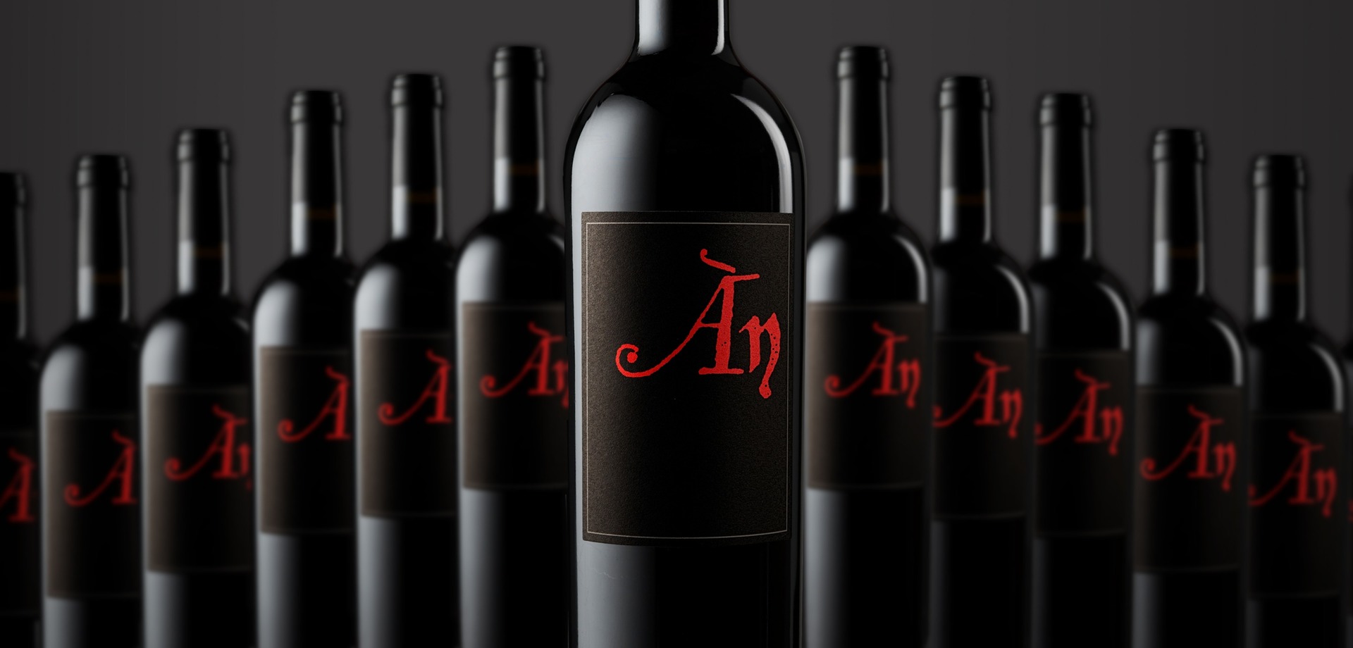 Our wines - Ànima Negra