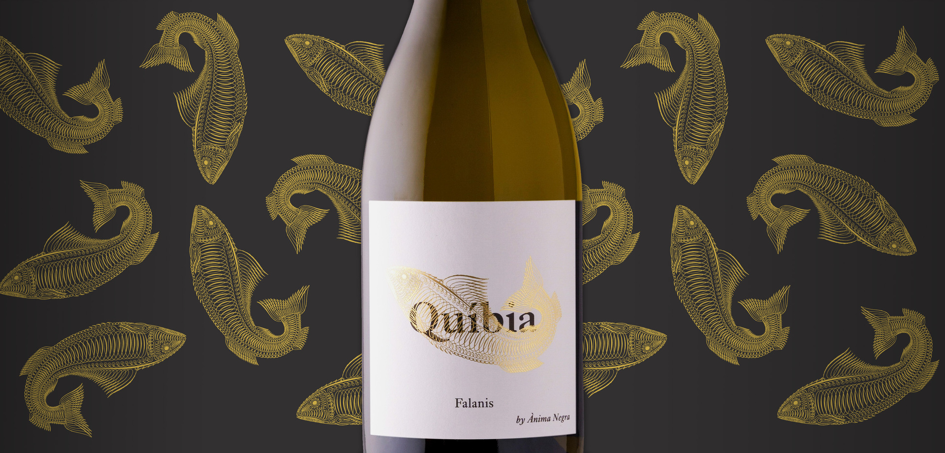 Felanitx, una finca del s. XIII